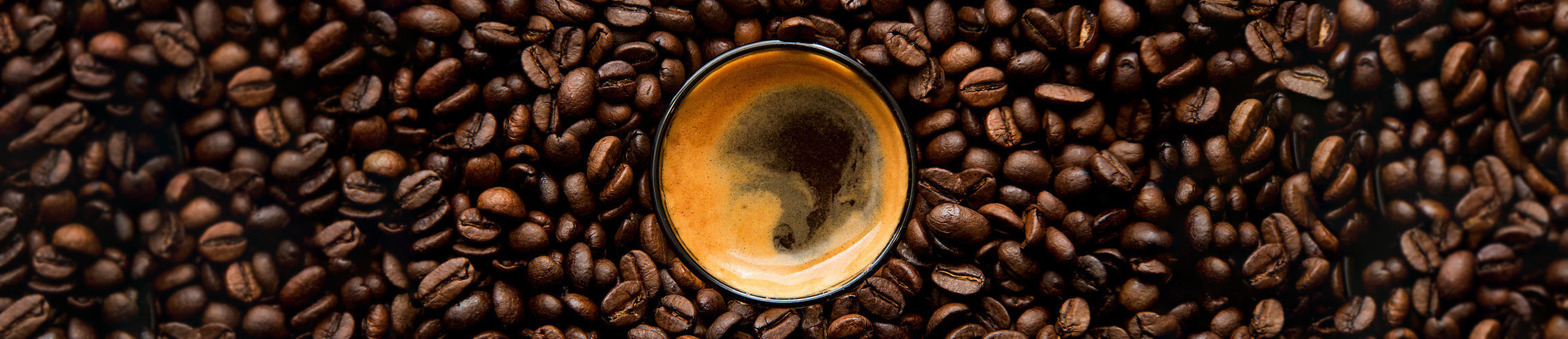 Roasted Beans Roasted Beans