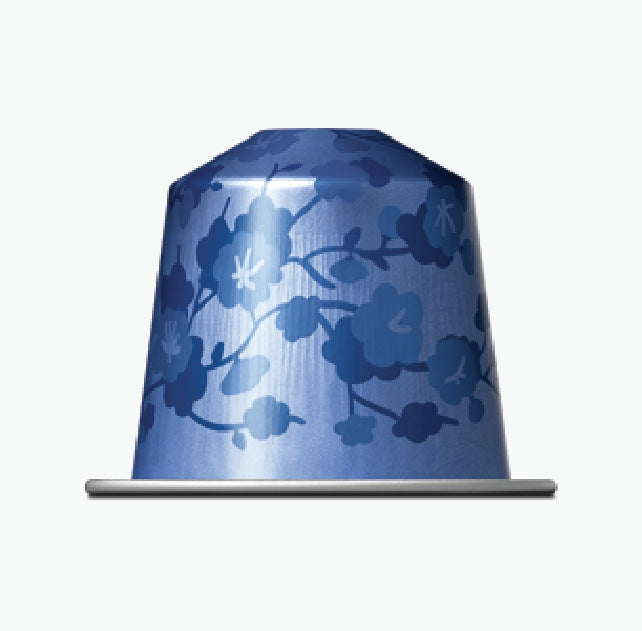 World Exploration World Exploration